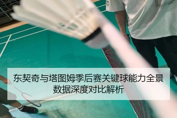 东契奇与塔图姆季后赛关键球能力全景数据深度对比解析